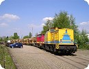 [DBG Duisburg 203 304 und EBM Cargo 203 204 in Münster/Westf]