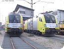 [TXL-Dispoloks ES 64 U2-004 und -027 im DB-Werk München West]