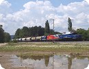 [... im Ecco Cargo "Austria" ...]